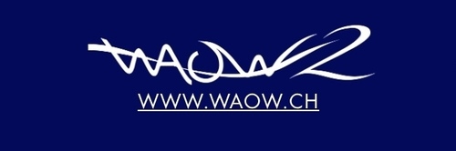 logo waow